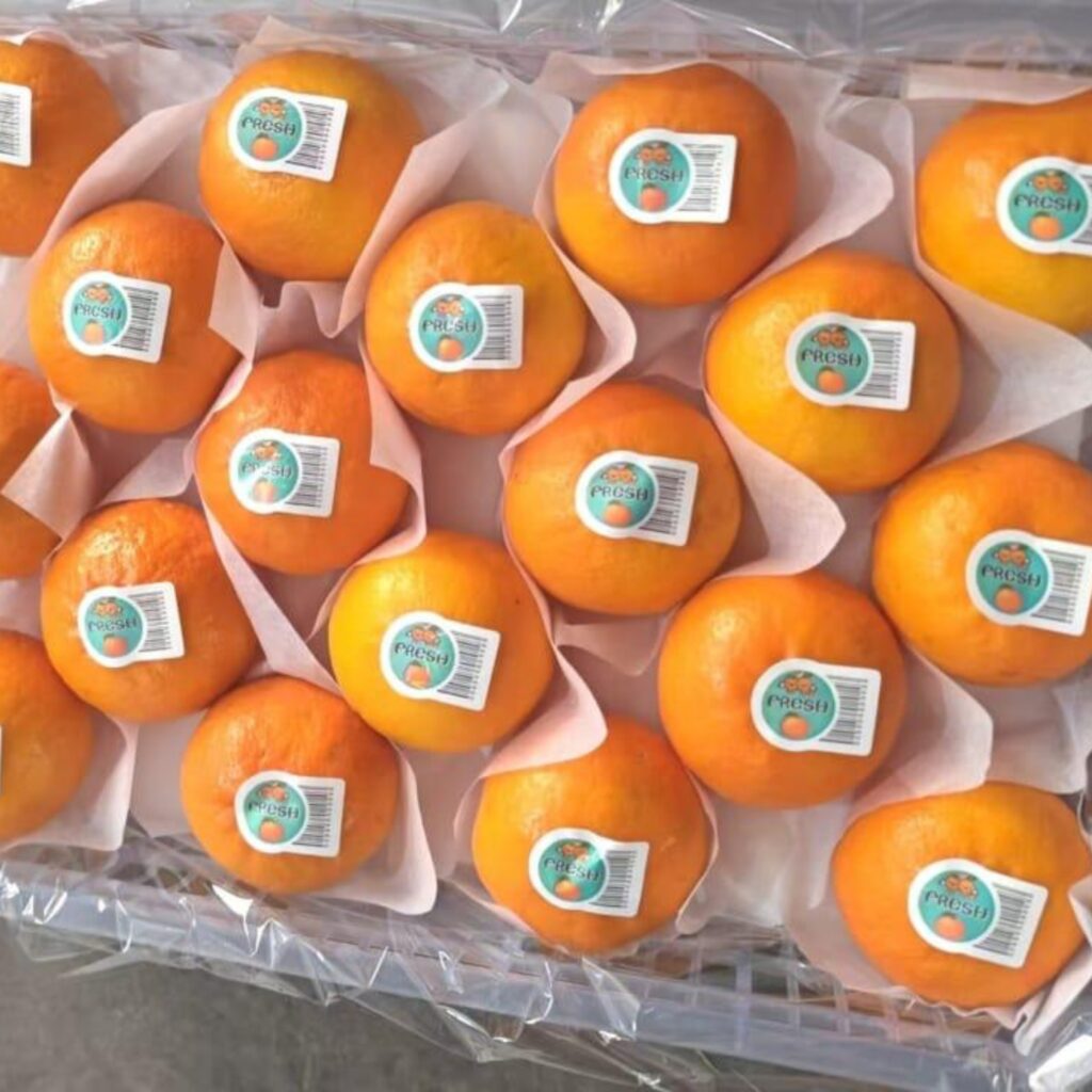 fruits oman