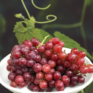 Grapes Crimson