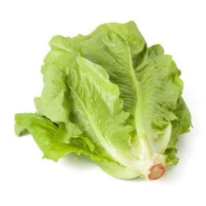 Luttuce